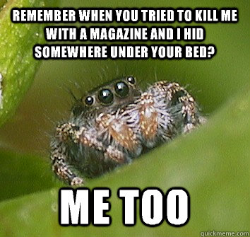 Remember when you tried to kill me with a magazine and I hid somewhere under your bed? Me too  Misunderstood Spider