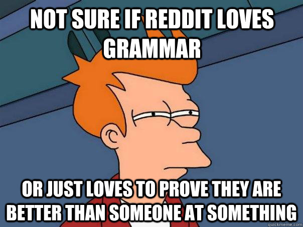 not sure if reddit loves grammar or just loves to prove they are better than someone at something  Futurama Fry