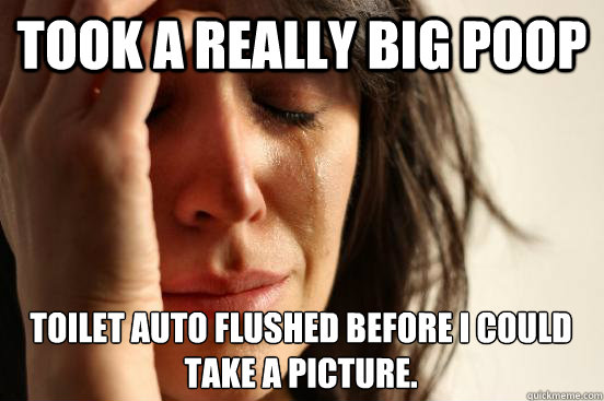 Took a really big poop toilet auto flushed before I could take a picture.   First World Problems