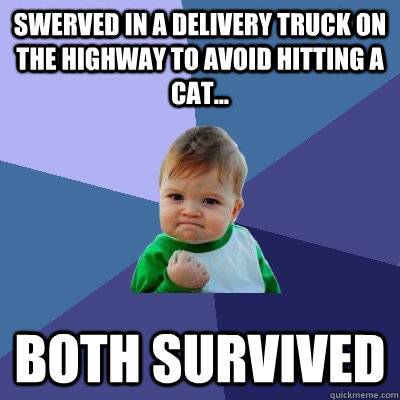 Swerved in a delivery truck on the highway to avoid hitting a cat... both survived  Success Kid