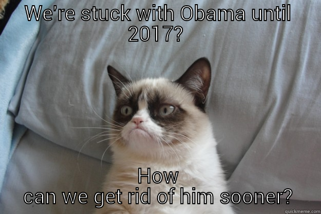 WE'RE STUCK WITH OBAMA UNTIL 2017?  HOW CAN WE GET RID OF HIM SOONER? Grumpy Cat