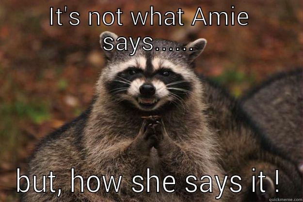 IT'S NOT WHAT AMIE SAYS...... BUT, HOW SHE SAYS IT ! Evil Plotting Raccoon