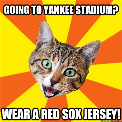 Going to yankee stadium? wear a red sox jersey!  Bad Advice Cat