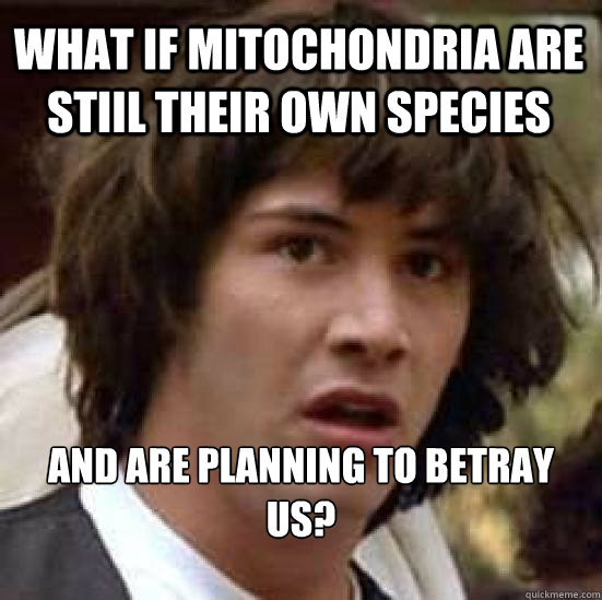 what if mitochondria are stiil their own species and are planning to betray us? - what if mitochondria are stiil their own species and are planning to betray us?  conspiracy keanu