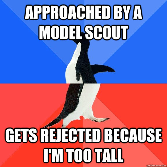 approached by a model scout gets rejected because i'm too tall  Socially Awkward Awesome Penguin