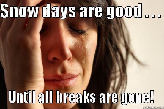 SNOW DAYS ARE GOOD . . .  UNTIL ALL BREAKS ARE GONE! First World Problems