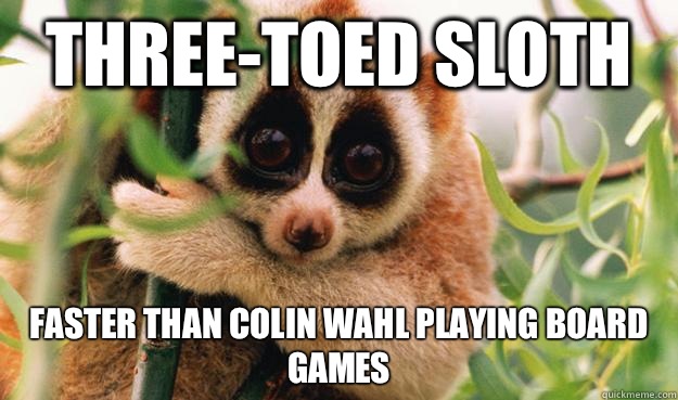 Three-toed sloth Faster than Colin Wahl playing board games  Slow Loris