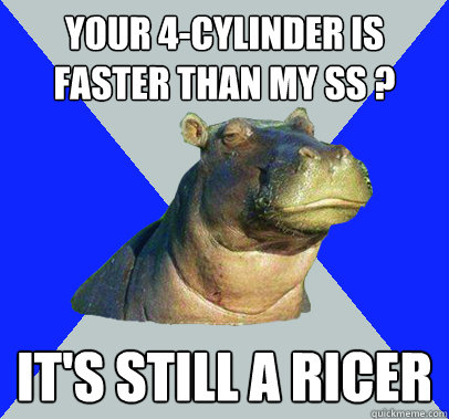 Your 4-cylinder is faster than my SS ? it's still a ricer  Skeptical Hippo