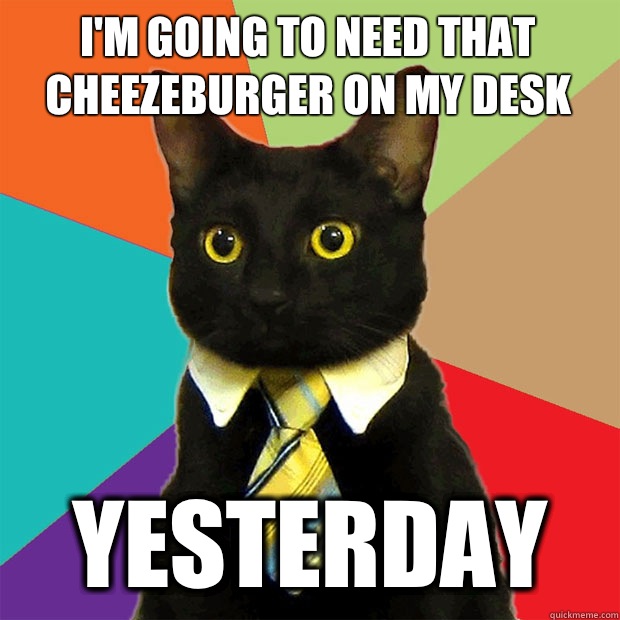 I'm going to need that cheezeburger on my desk Yesterday  Business Cat