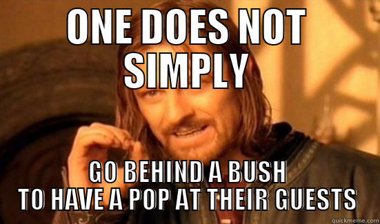 HOLLOW  - ONE DOES NOT SIMPLY GO BEHIND A BUSH TO HAVE A POP AT THEIR GUESTS Boromir