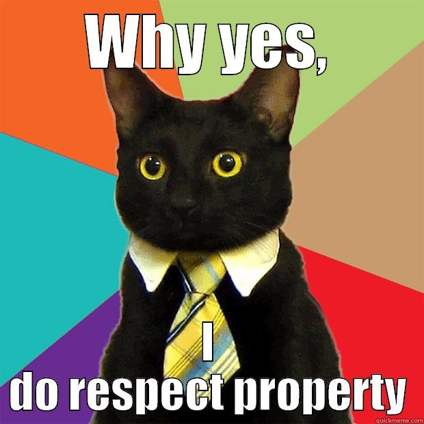 Respect property - WHY YES, I DO RESPECT PROPERTY Business Cat