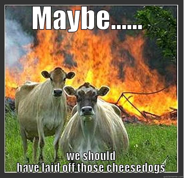 MAYBE......  WE SHOULD HAVE LAID OFF THOSE CHEESEDOGS Evil cows