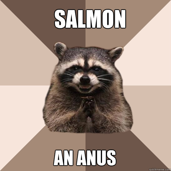 Salmon An anus - Salmon An anus  Evil Plotting Raccoon