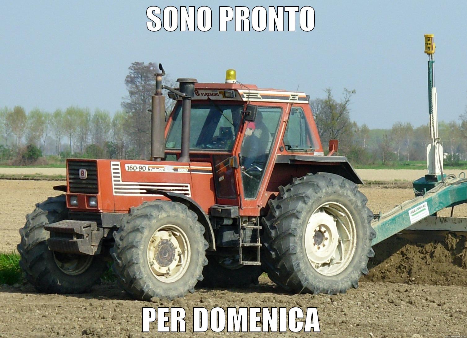 SONO PRONTO PER DOMENICA Misc