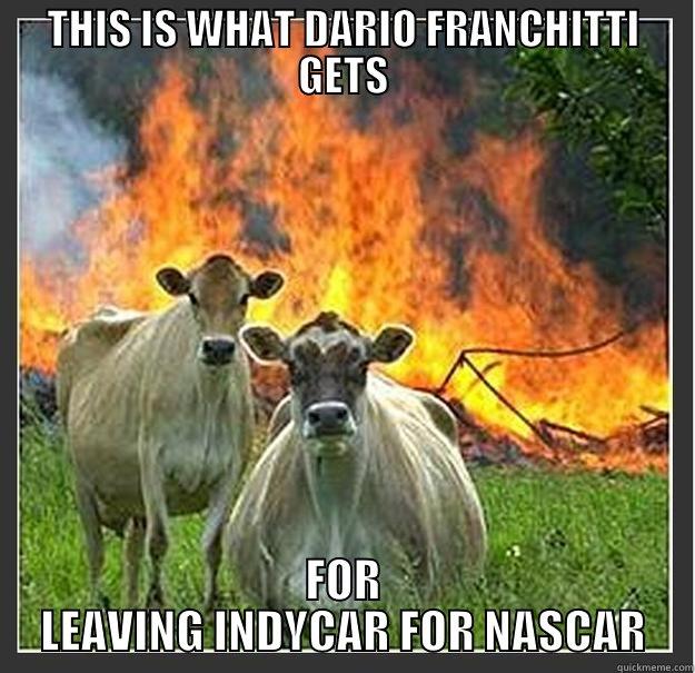 THIS IS WHAT DARIO FRANCHITTI GETS FOR LEAVING INDYCAR FOR NASCAR Evil cows