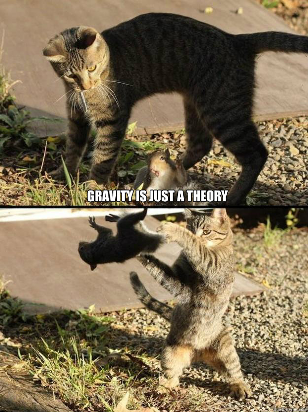 Gravity is just a theory  Annoying Squirrel