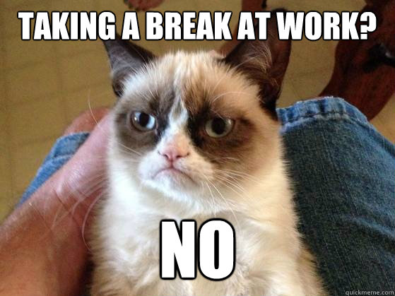 taking a break at work? no - taking a break at work? no  AngryCat