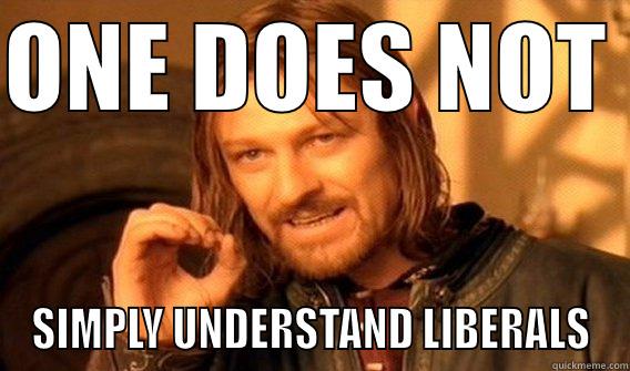 ONE DOES NOT  SIMPLY UNDERSTAND LIBERALS One Does Not Simply