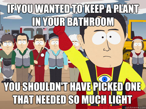 if you wanted to keep a plant in your bathroom You shouldn't have picked one that needed so much light  Captain Hindsight