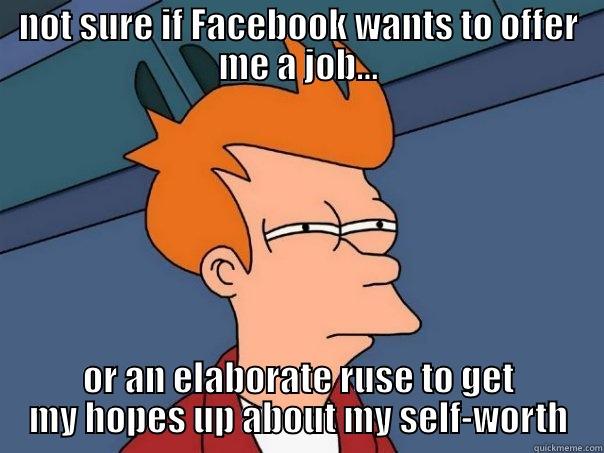 NOT SURE IF FACEBOOK WANTS TO OFFER ME A JOB... OR AN ELABORATE RUSE TO GET MY HOPES UP ABOUT MY SELF-WORTH Futurama Fry