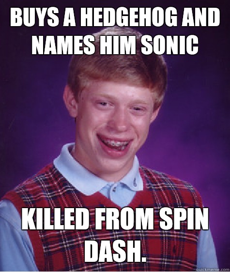 Buys a hedgehog and names him sonic killed from spin dash.  - Buys a hedgehog and names him sonic killed from spin dash.   Bad Luck Brian
