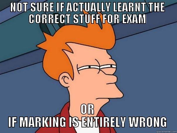 NOT SURE IF ACTUALLY LEARNT THE CORRECT STUFF FOR EXAM OR IF MARKING IS ENTIRELY WRONG Futurama Fry