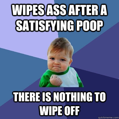 wipes ass after a satisfying poop there is nothing to wipe off - wipes ass after a satisfying poop there is nothing to wipe off  Success Kid