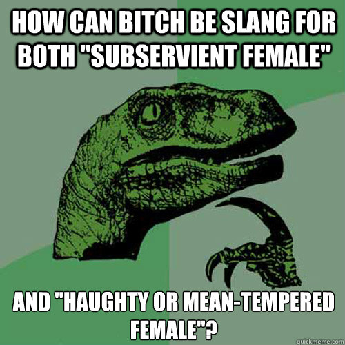 How can bitch be slang for both 