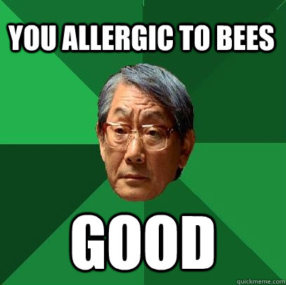 You allergic to bees Good  High Expectations Asian Father