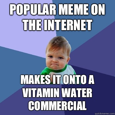 Popular meme on the Internet  Makes it onto a vitamin water commercial   Success Kid