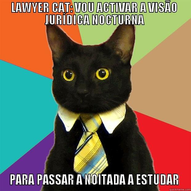 LAWYER CAT: VOU ACTIVAR A VISÃO JURÍDICA NOCTURNA PARA PASSAR A NOITADA A ESTUDAR Business Cat