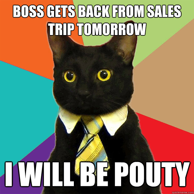 boss gets back from sales trip tomorrow i will be pouty  Business Cat