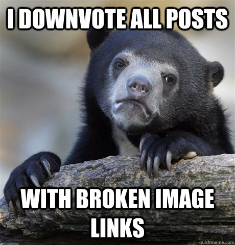 i downvote all posts with broken image links  Confession Bear