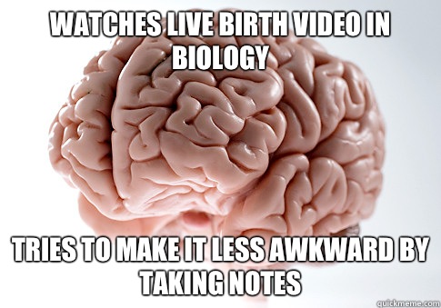 WATCHES LIVE BIRTH VIDEO IN BIOLOGY TRIES TO MAKE IT LESS AWKWARD BY TAKING NOTES   Scumbag Brain