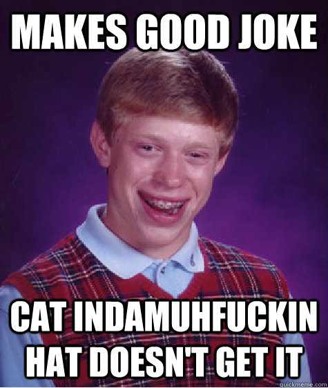 MAKES GOOD JOKE CAT INDAMUHFUCKIN HAT DOESN'T GET IT  Bad Luck Brian