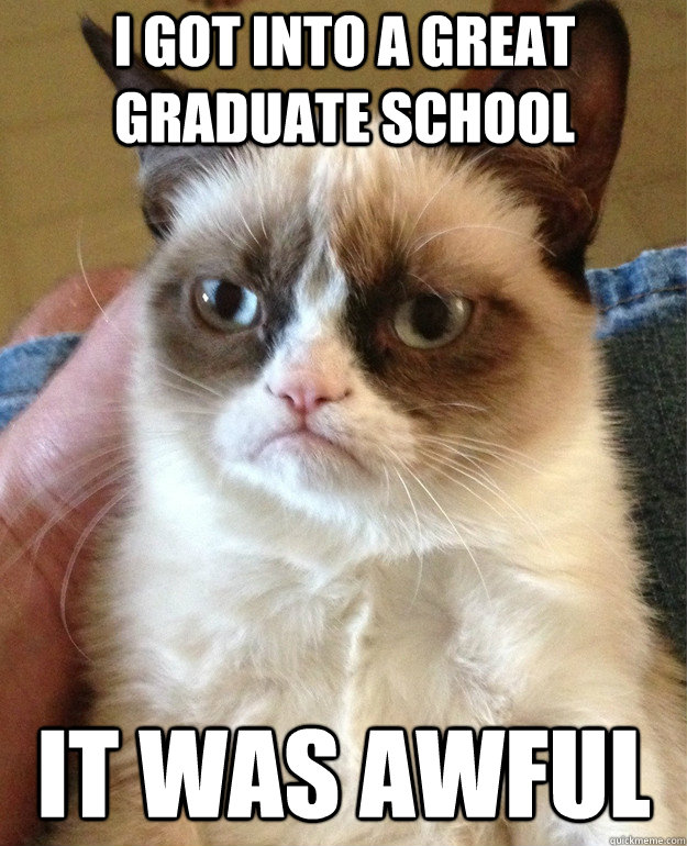 I got into a great graduate school It was awful  Grumpy Cat