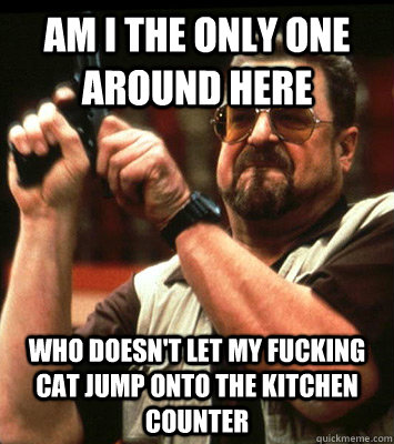 Am I the only one around here Who doesn't let my fucking cat jump onto the kitchen counter  Walter Sobchak
