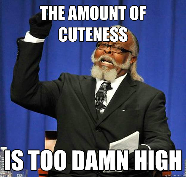 The amount of cuteness Is too damn high - The amount of cuteness Is too damn high  Jimmy McMillan