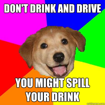 Don't drink and drive you might spill your drink  Advice Dog