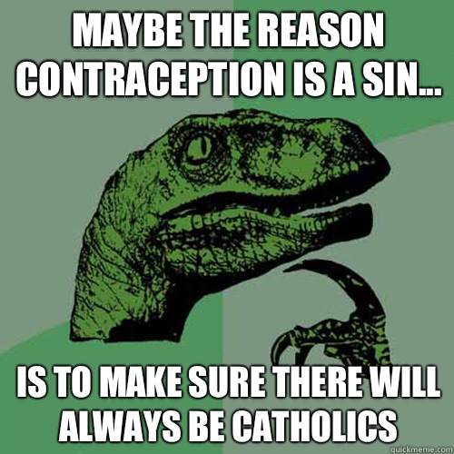 Maybe the reason contraception is a sin... Is to make sure there will always be catholics  Philosoraptor