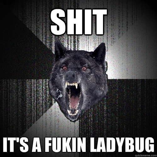 SHIT It's a fukin ladybug  Insanity Wolf