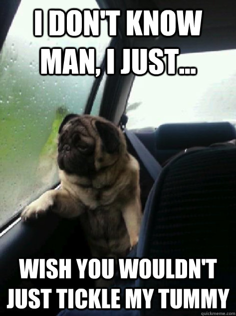 I don't know man, I just... wish you wouldn't just tickle my tummy  Introspective Pug