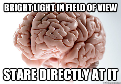 bright light in field of view stare directly at it  Scumbag Brain