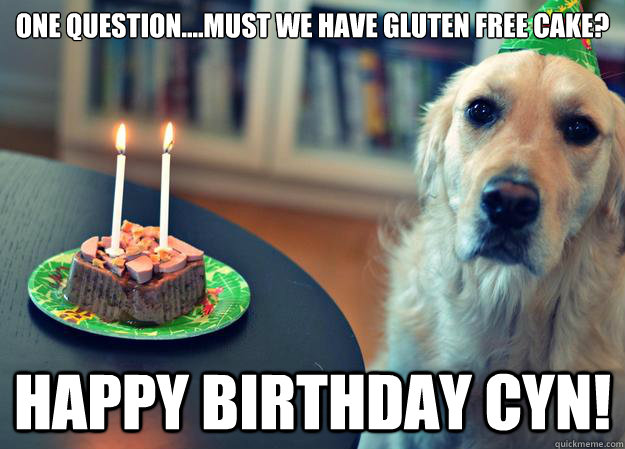 One Question....Must we have gluten free cake? Happy Birthday CYN! - One Question....Must we have gluten free cake? Happy Birthday CYN!  Sad Birthday Dog