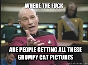 where the fuck are people getting all these Grumpy Cat pictures  Annoyed Picard