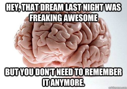 Hey, that dream last night was freaking awesome  but you don't need to remember it anymore.  Scumbag Brain