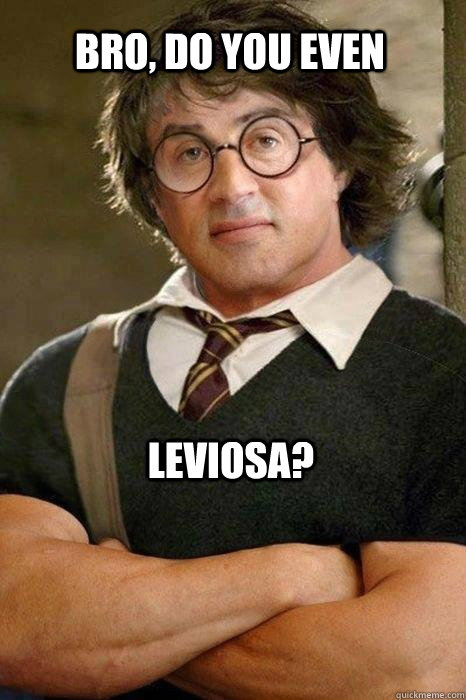 Bro, do you even leviosa? - Bro, do you even leviosa?  Misc