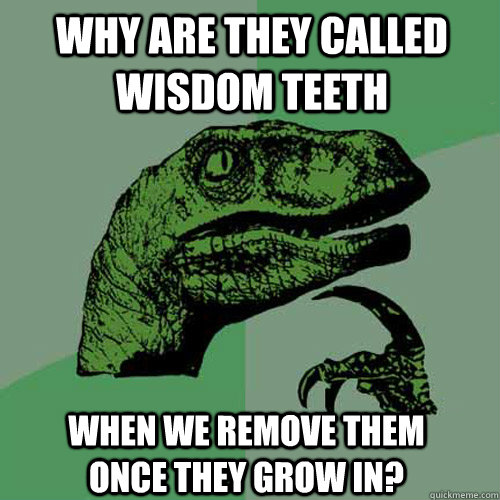 Why are they called wisdom teeth When we remove them once they grow in?  Philosoraptor