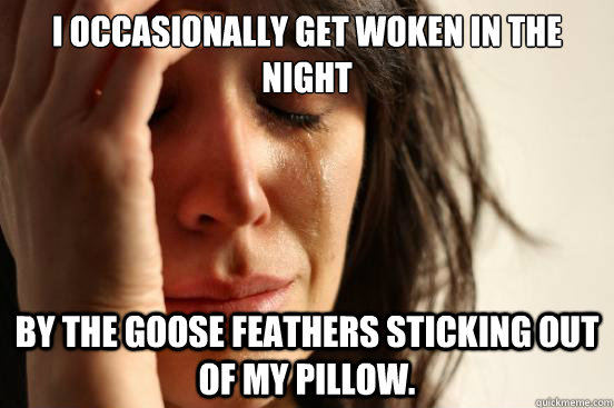 I occasionally get woken in the night by the goose feathers sticking out of my pillow. - I occasionally get woken in the night by the goose feathers sticking out of my pillow.  First World Problems