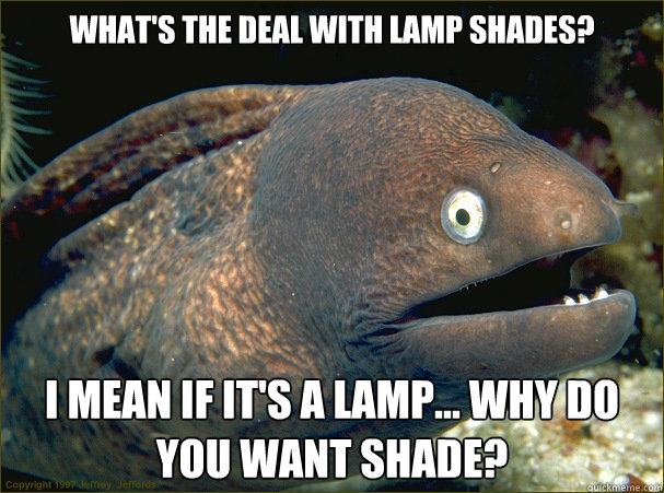 What's the deal with lamp shades? I mean if it's a lamp... why do you want shade?  Bad Joke Eel